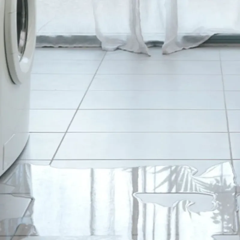 Appliance Leak Cleanup in Tallahassee, FL