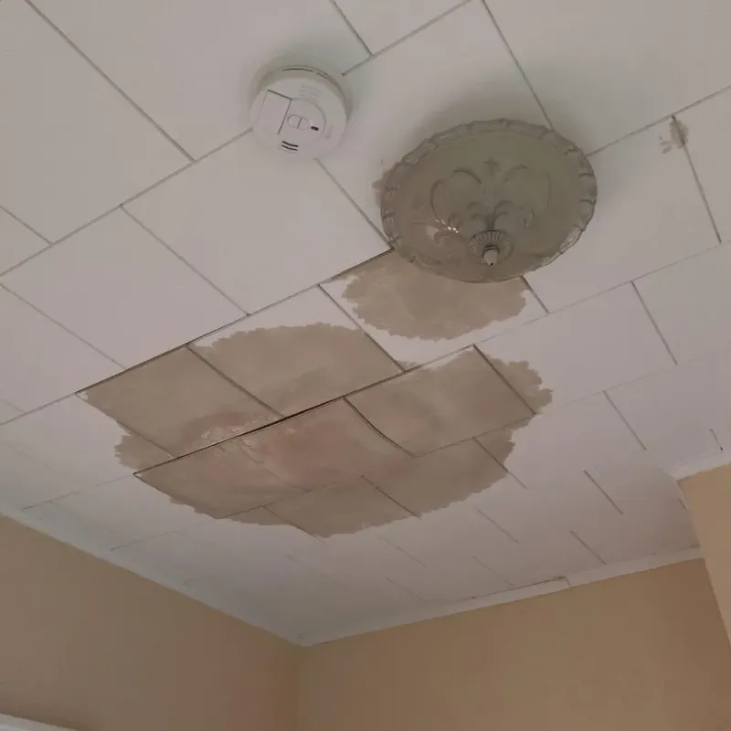 Ceiling Water Damage Repair in Tallahassee, FL